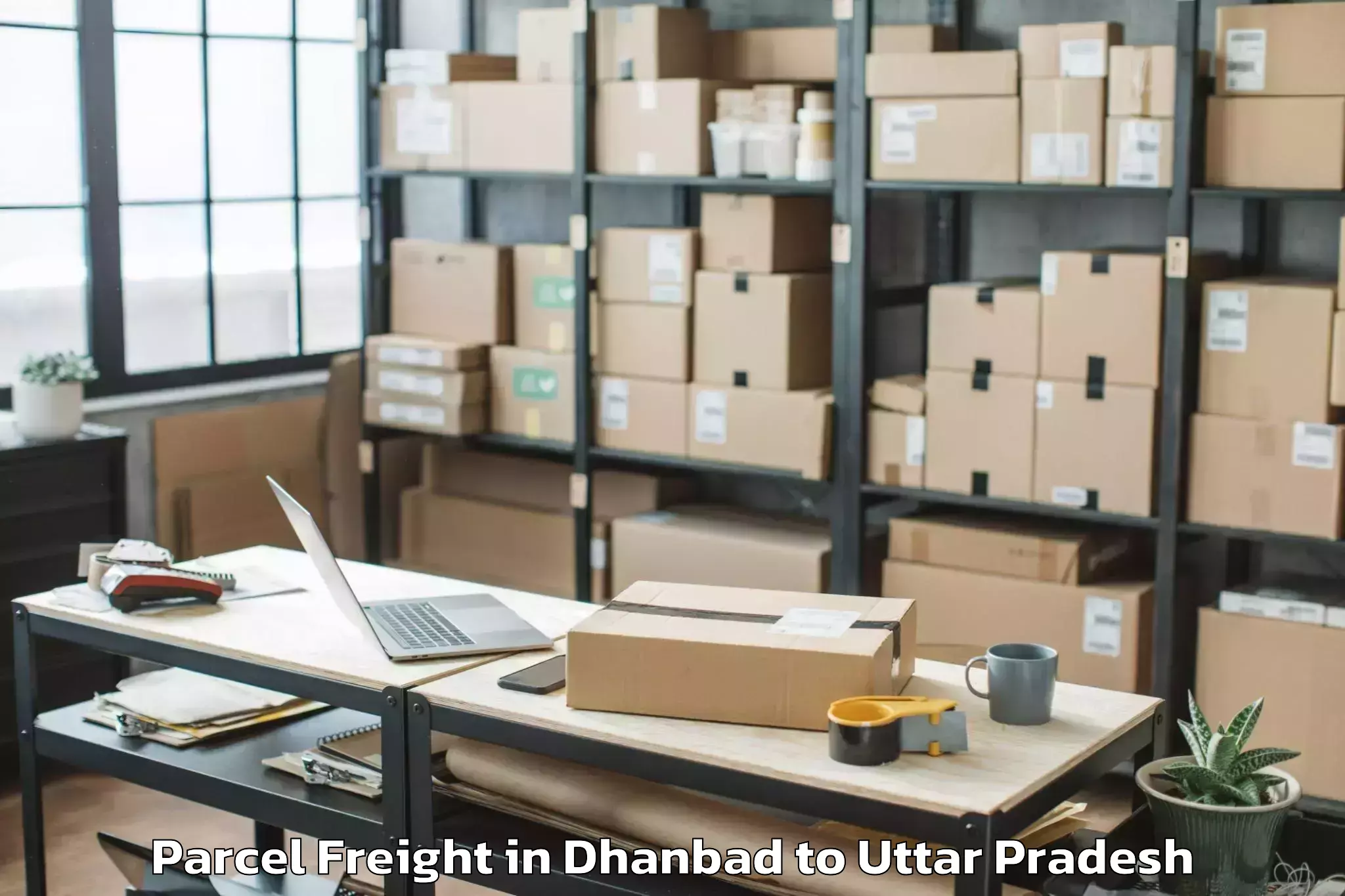 Book Dhanbad to Monad University Hapur Parcel Freight